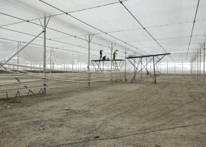 Agriculture Polycarbonate Sheet Greenhouse For Tomato Farming