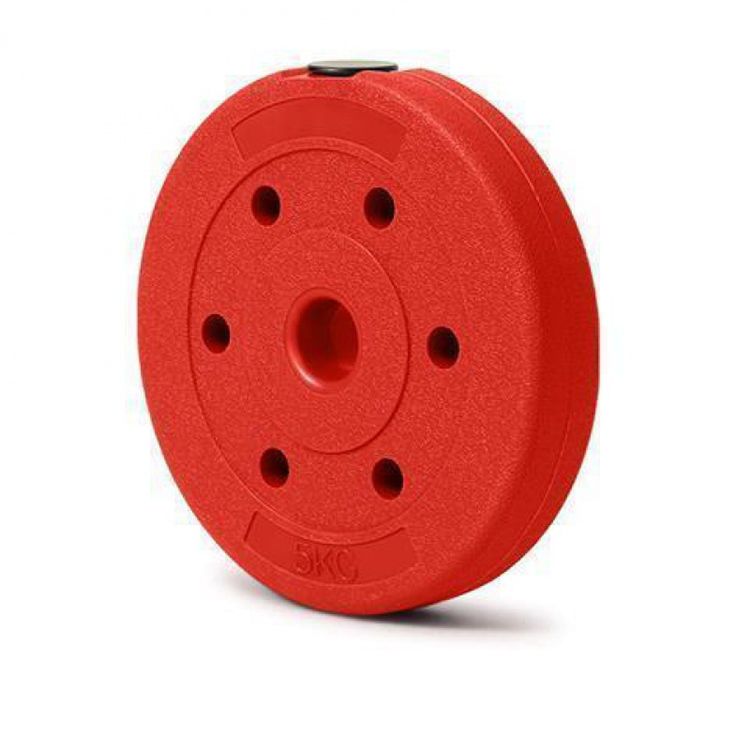 Wholesale Ladies Home Use Colored Cement Dumbbells PP Friendly Plastic Ring Dumbbell