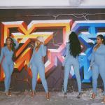 Long Sleeve Women Bodycon Jumpsuit , Zipper V Neck Ribbed Long Sleeve Jumpsuit