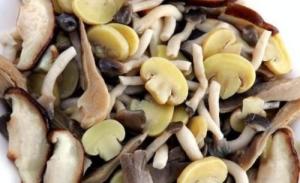 Quality IQF Frozen Mixed Mushroon, blanched wholesale