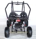 4 Stroke Riverbed Loading 200kg 125cc Go Kart Buggy