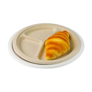 Quality Disposable 10 Inch Compostable Biodegradable Sugarcane Bagasse Plates wholesale