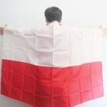 National Advertising Promotional Body Flag