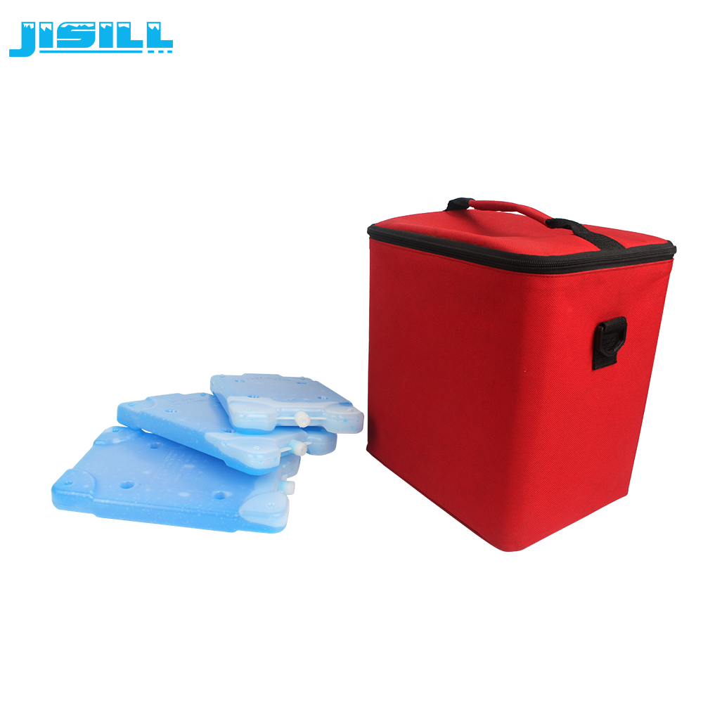 Wholesale Food Grade 500ML Eutectic Cold Plates Reusable Hard Cold Ice Pack Gel For Cooling Food