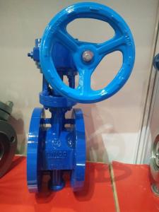 Quality Worm Gear Double Flanged Ductile Iron Eccentric Butterfly Valve wholesale