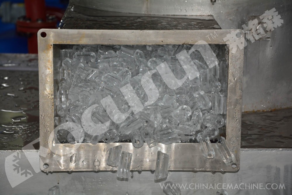 Focusun Delivers 10T/24hr Food-Grade Tube Ice Machine for Retail Market in Shanghai