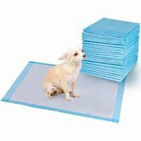 Quality Sustainable Puppy Pee Pad Training 60x90cm PE Film Dog Ate Puppy Pad wholesale