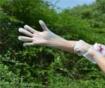 XL Plastic Cleaning Tpe 100pcs/Bag Disposable Kitchen Gloves