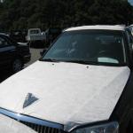 White Glossy Factory Wholesale PE Automotive Paint Dustproof Protective Film
