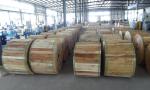 24 48 72 96 144 256 Cores Armor Anti-Rodent Stranded Outdoor Fiber Optic Cable