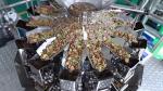 Auto Weighing Packing Machine Vffs dried fruit Packaging Machine Raisins