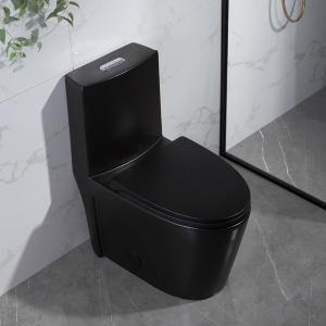 Quality Matt Black One-Piece Compact Elongated Dual-Flush Toilet With Skirted Trapway wholesale