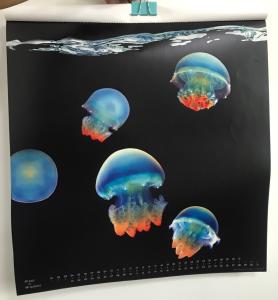 Quality Double Sided 3d Custom Lenticular Printing 200g White Cardboard wholesale