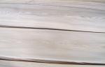 Natural Russia White Ash Wood Veneer Plywood Crown Cut For Furniture