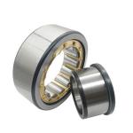 100% GCR15 Nj203 NJ204 NJ207 Cylindrical Roller Bearing