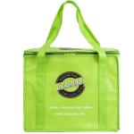 35*22*30 CM Size Insulated Picnic Bag Non Woven With 2Mm Aluminum EPE