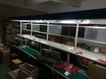 Assembly Line Conveyor Belt