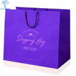 OEM ODM Recycled Cosmetic Gift Bags With Handles Biodegradable