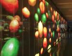 Semi Outdoor 1000x500mm Transparent Video Glass Screen 1000-5000nits