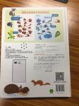 800s IC 89 Keys 85DB Children Audio Books ICTI EMC