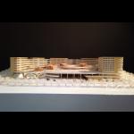 Maple Wood Model - SAZD 1:250 Shenzhen Shangxia Henglang School
