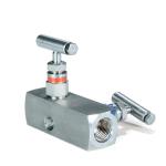 304 Stainless Steel Internal Thread Two Valve Group Integrated Instrument