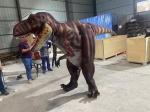 Life Size Customization Realistic Dinosaur Costume For Playroom
