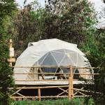 32ft Half Sphere Backyard Geodesic Dome Tent PVC Door Galvanized Steel Tubes