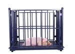 3000KG ODM Cattle Weighing Scales Carbon Steel