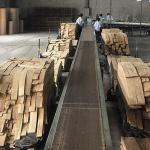 Solid Wood American Elm Sheets Grade A For Quarter Cut Crown Grain Natural Color