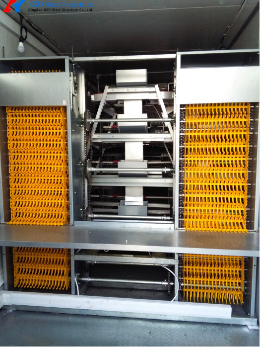 Modern Poultry Farm Chicken Farm Steel Structure Building Light Steel Structure Poultry House