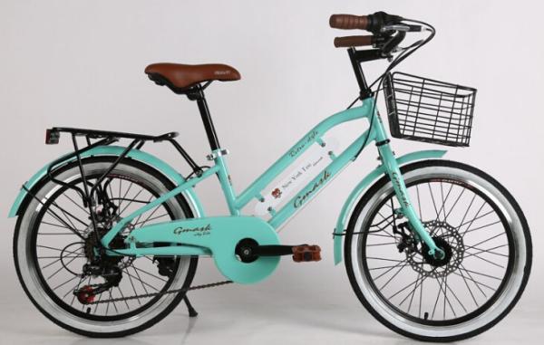 Coaster brake hi-ten steel 24/26 inch New York style city bike with Shimano 6/7
