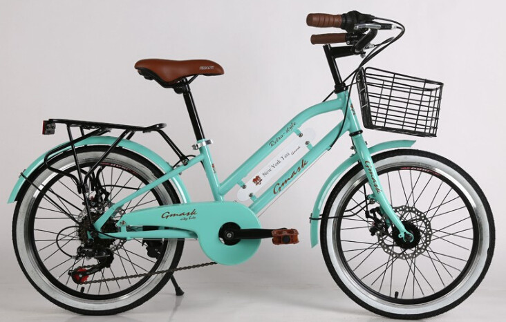 CE standard hi-ten steel 24/26 inch New York style city bike with Shimano 6/7 speed and Cowhide seat