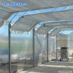 High Quality Commercial Hemp Automated Light Deprivation Blackout Greenhouse
