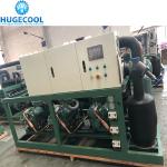 Copeland Cold Room Compressor Condensing Unit with Lowest Price