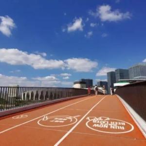 Quality Synthetic Park Jogging Way wholesale