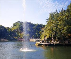 Quality Stainless Spray Fountain Hotel Shouting Spring Fountain wholesale