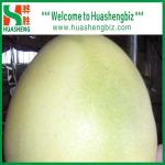 New Crop Honey Pomelo