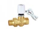 Two Port Motorised Valve 1 Inch Brass PN16 22mm 2 Port Valve Electric Heating