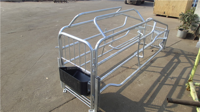 Hign Strength Galvanized Pig Farrowing Crate Anti Corrosive Long Using Life Time
