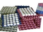 Egg tray plant(FC-ZMG6-48)