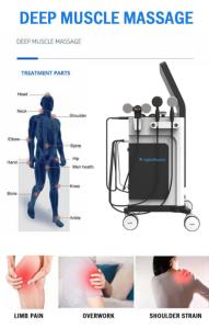 Quality Smart Tecar Pro Electric Physiotherapy Machine With Tecar 300w wholesale