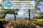 Purchase Party Tent Aluminium Wedding Transparent Tents for Sale
