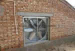 48 Inch Wall Mounted AC Extractor Fan with Siemens Motor Silver Greenhouse