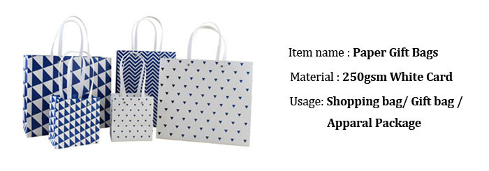 Fashion gift paper bag