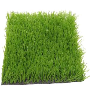 Quality Green Soccer Sport Football Artificial Grass 60mm wholesale