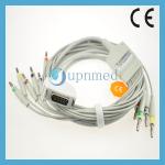 Fukuda one-piece 10-Lead EKG cable with leadwires