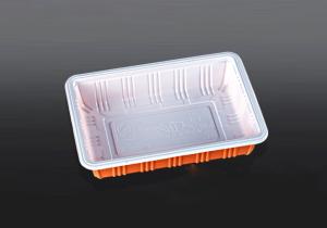 Quality E-102 clamshell food container wholesale