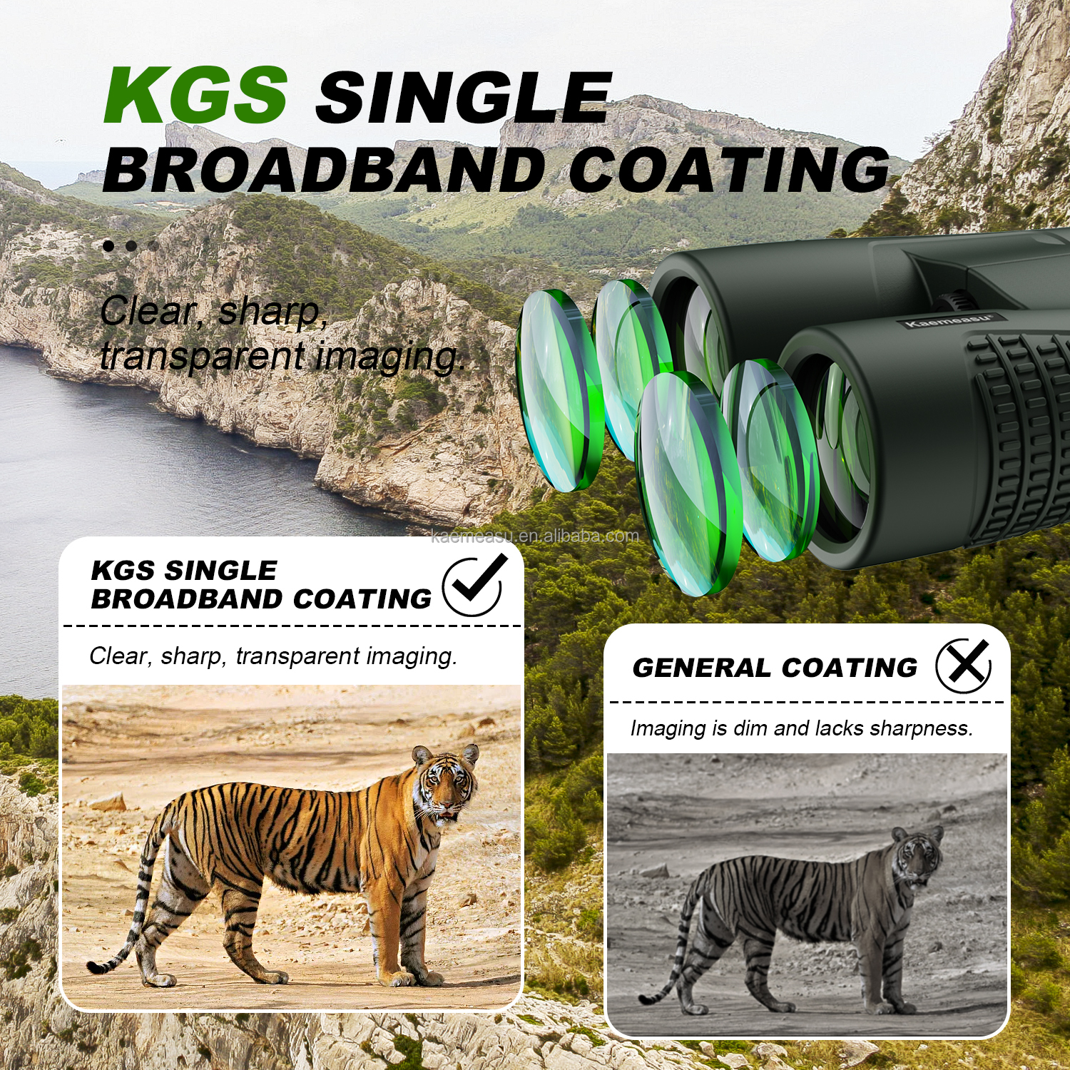 C 8X Compact 8X24 Binoculars Waterproof Lightweight for Camping Concerts Outdoor Sports Wildlife Viewing