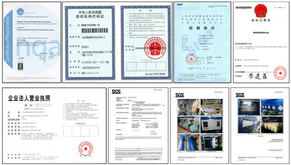 5T Focusun Tube Ice Machine and Competitive with Video Outgoing-Inspection Provided